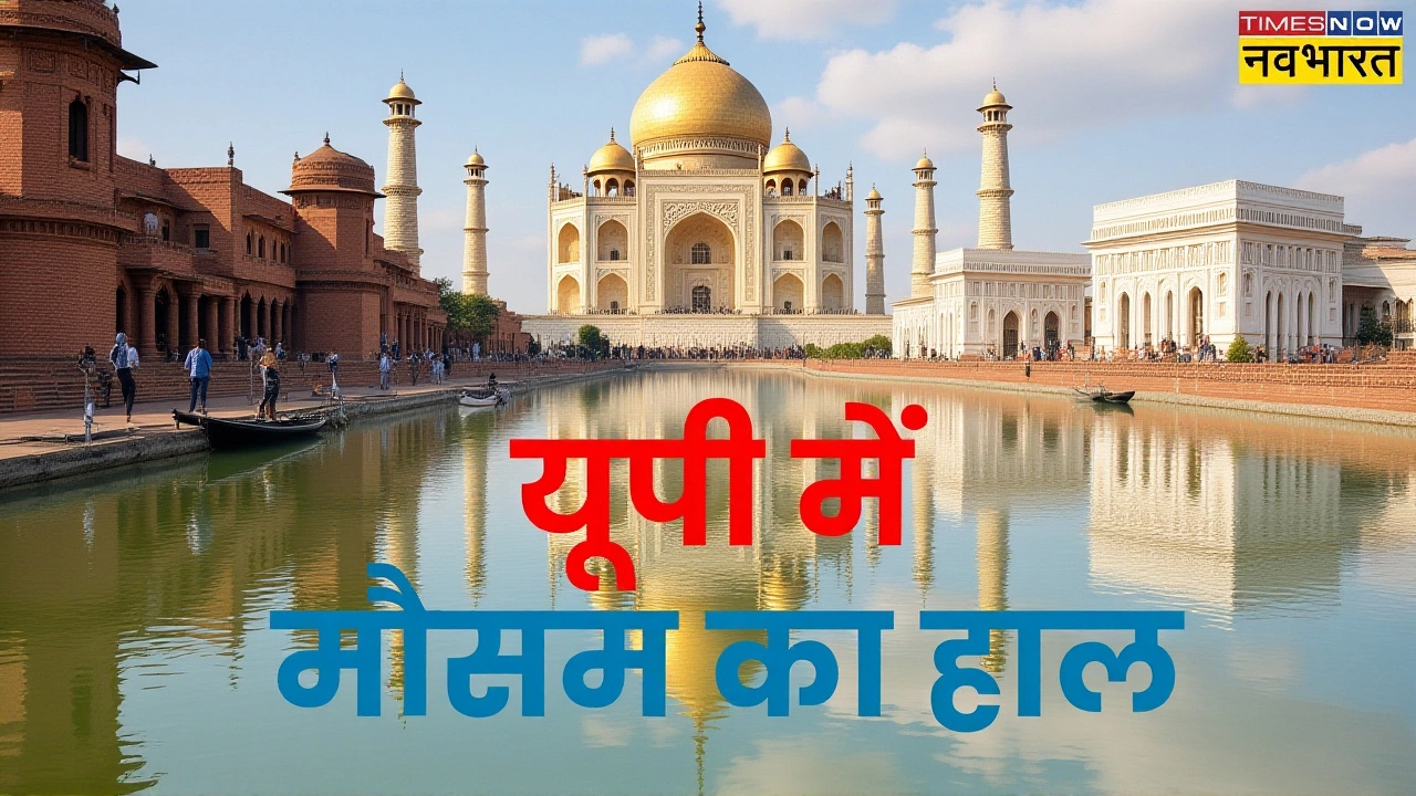 What the Forecasters Saw